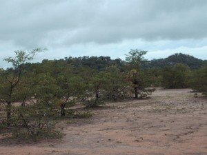 Mswiliswili Hills in Hobodo area behind which lies the Edaka Shrine where traditional Kalanga rain-making ceremony takes place annually.