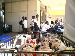 Tray with donated blood. In the background, Adventist youths queuing to donate blood in Kwekwe ahead of Easter holidays (Photo K. Mavundutse)